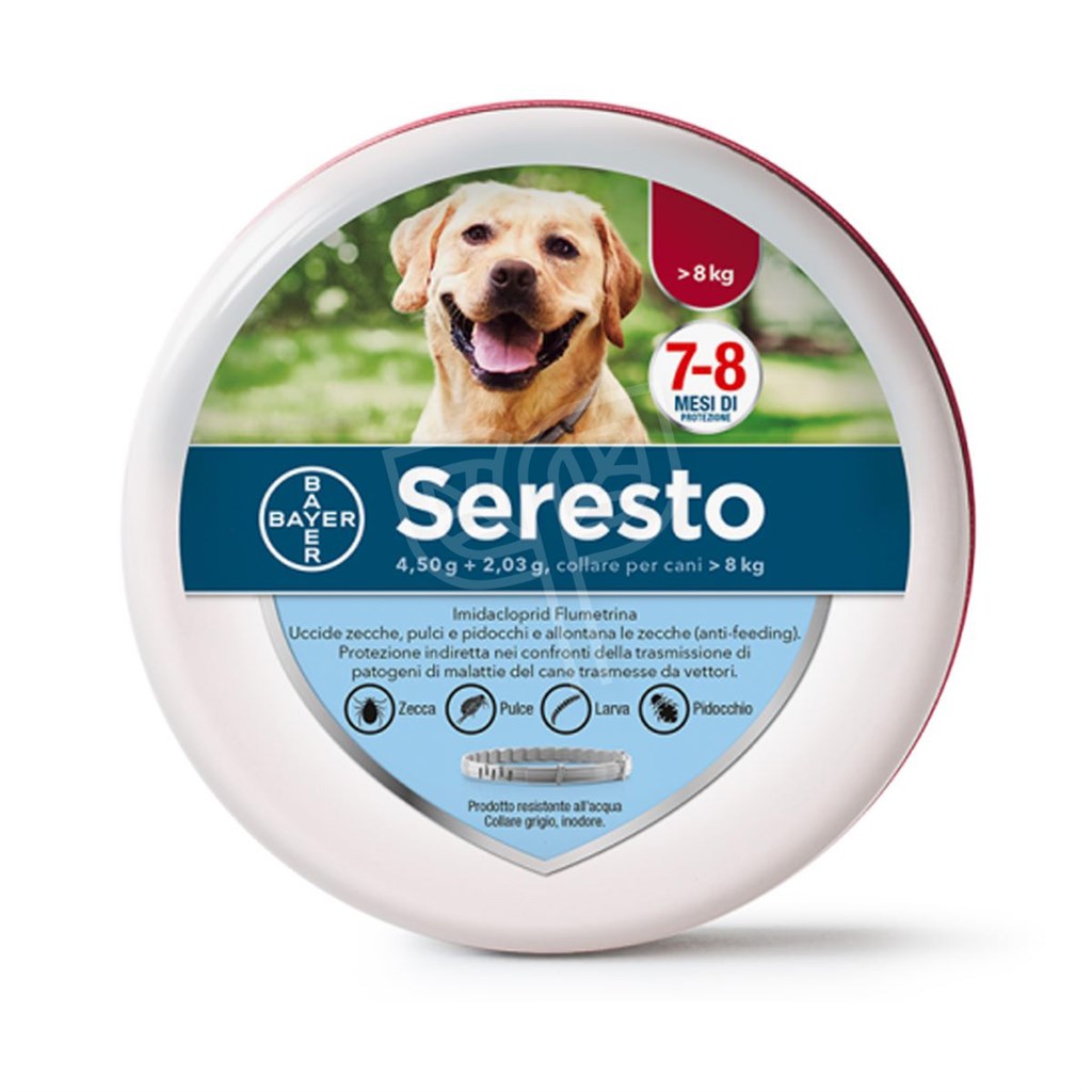 SERESTO BAYER COLLARE CANE CM 70 - OLTRE 8 KG